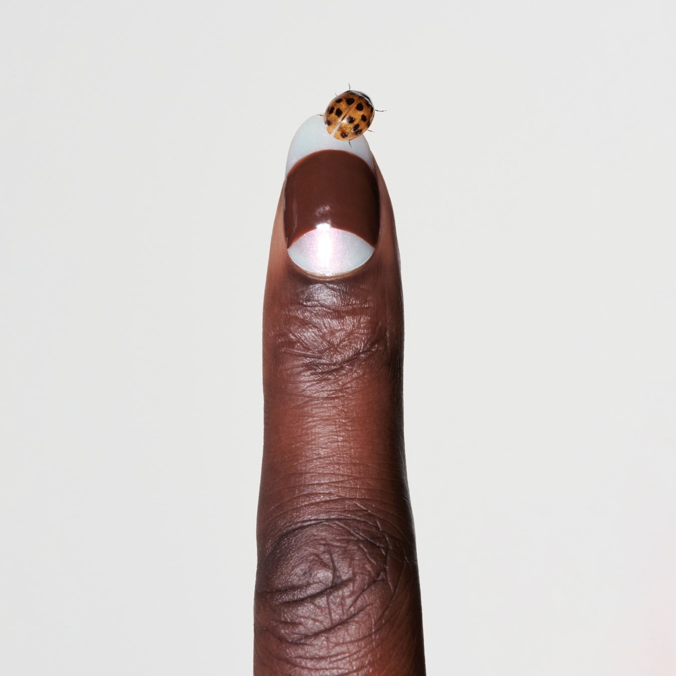 Chanel Beauty for AnOther Magazine Autumn/Winter 2024