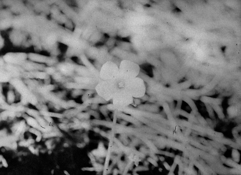 Daisuke Yokota x Another Man