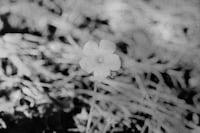 Daisuke Yokota x Another Man