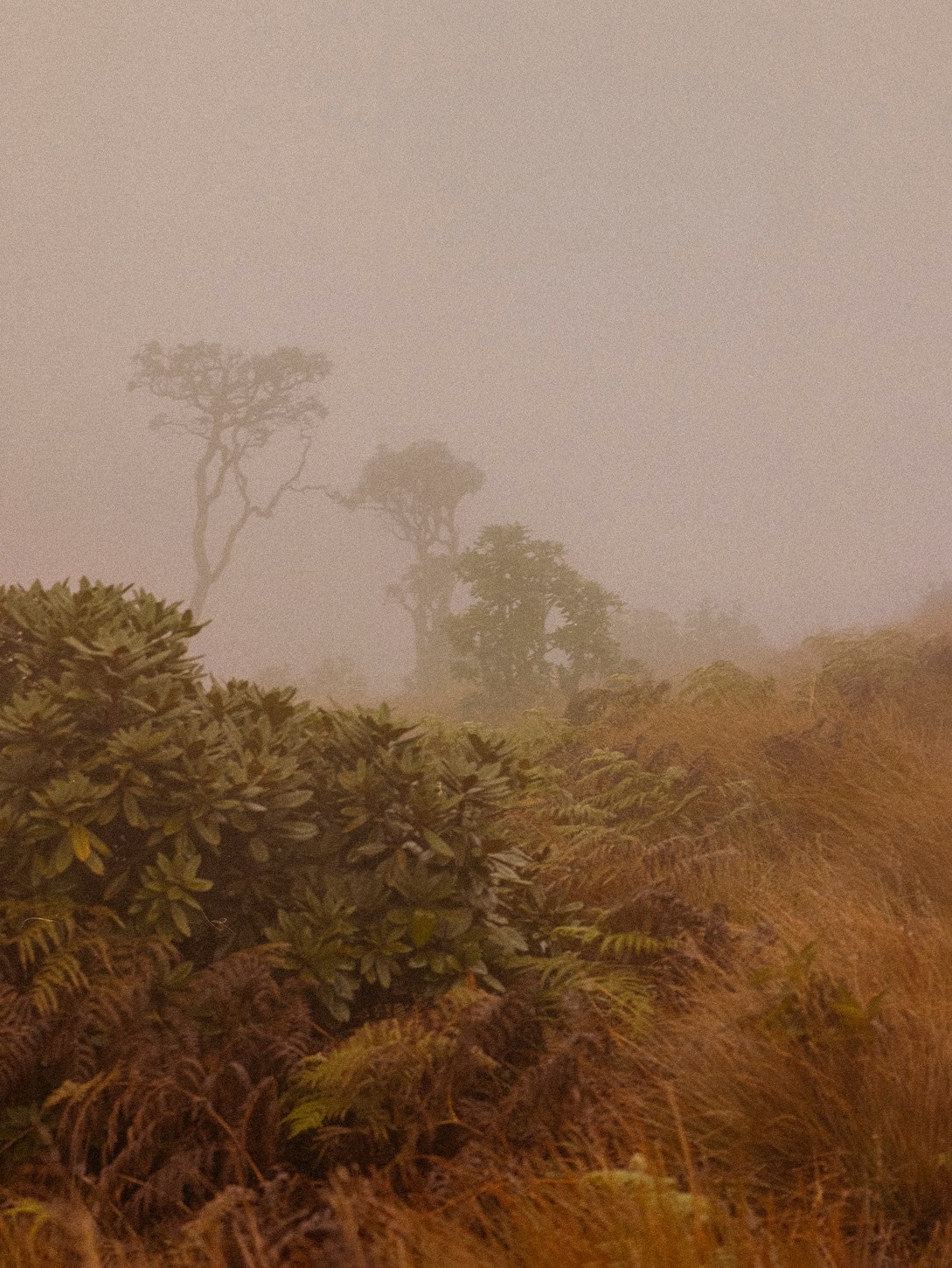 Louis Vuitton for Another Man Summer/Autumn 2025