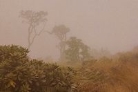 Louis Vuitton for Another Man Summer/Autumn 2025