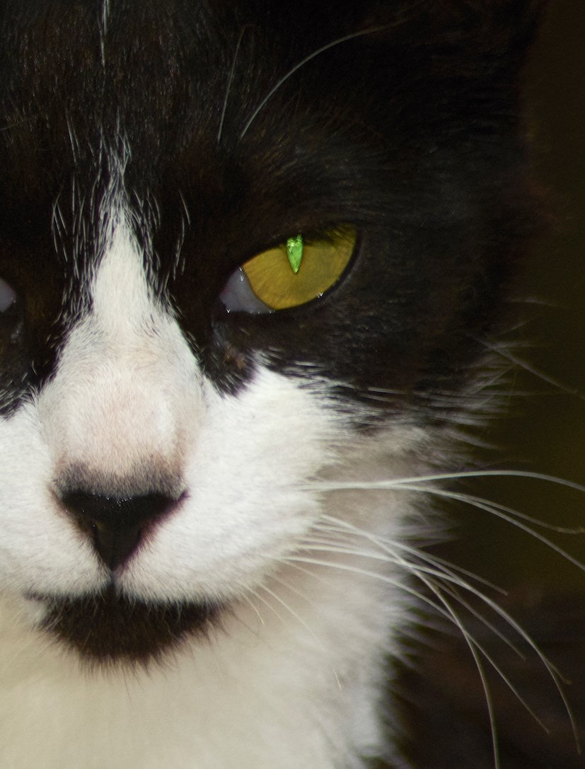 Lisa Blackpink AnOther Autumn/Winter 2025