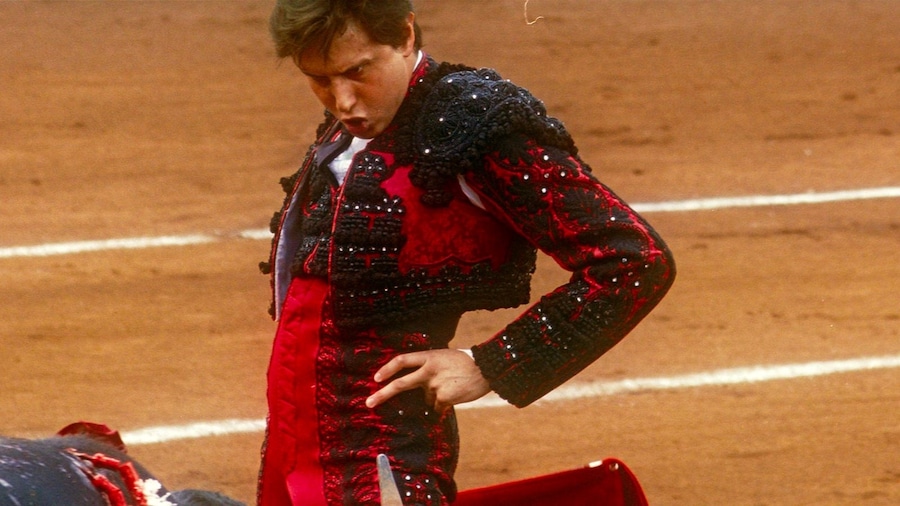 Afternoons of Solitude, 2025