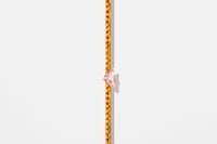 Couleur Vivante by Prada