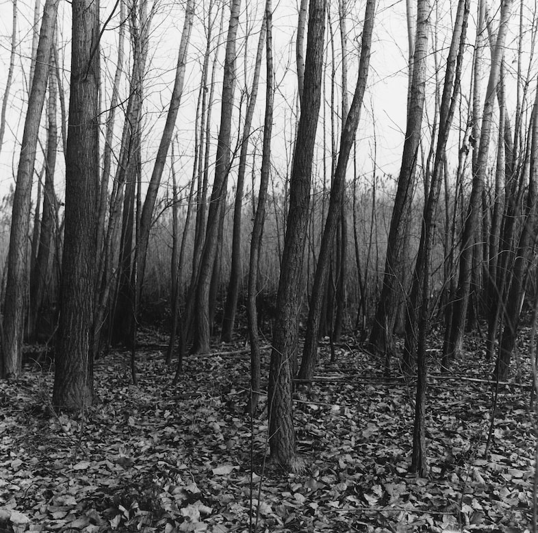 Peter Hujar: The Gracie Mansion Show Revisited